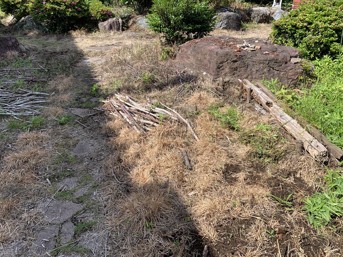 watercyclesoil's tweet photo. 除草剤が撒かれたところを回復中。

もっとも効果がありそうなのが、上に健全な土を被せること。
点穴を掘って水の動きを変えるだけでは、回復しなかった。

 #除草剤から回復 https://t.co/Rrgxz0W7Tk