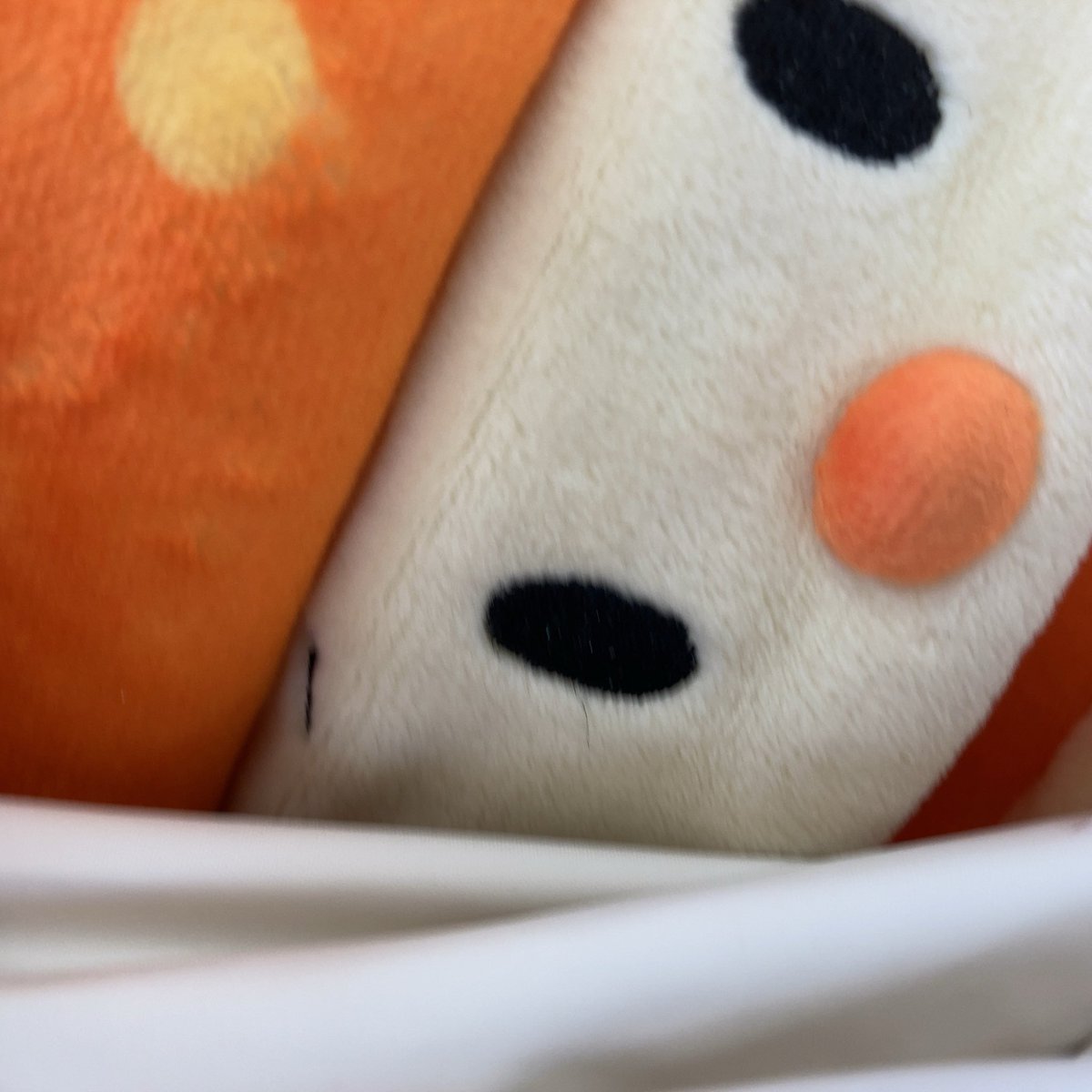 おっでかけ、おっでかけ🚃