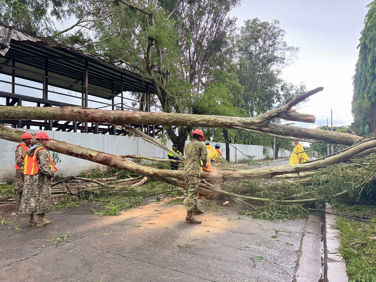 FUERZARMADASV's tweet photo. Nuestros soldados, en coordinación con instituciones de servicio, realizan labores de remoción de árboles caídos que obstruyen el paso vehicular en dos vías del distrito de El Paraíso, municipio de Chalatenango Centro.

📍 Carretera Longitudinal del Norte
📍 Cantón Santa Bárbara https://t.co/SlIexK4zFG