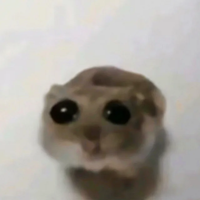 TurboSpeedCook's tweet photo. This hamster in a stroller is going viral for his sad face

isnt this sad hamster but opossum??

Reddit: https://t.co/iZ7YYvtUpN

Know your meme: https://t.co/fhHRLx0aPB https://t.co/AY9O47Gqok