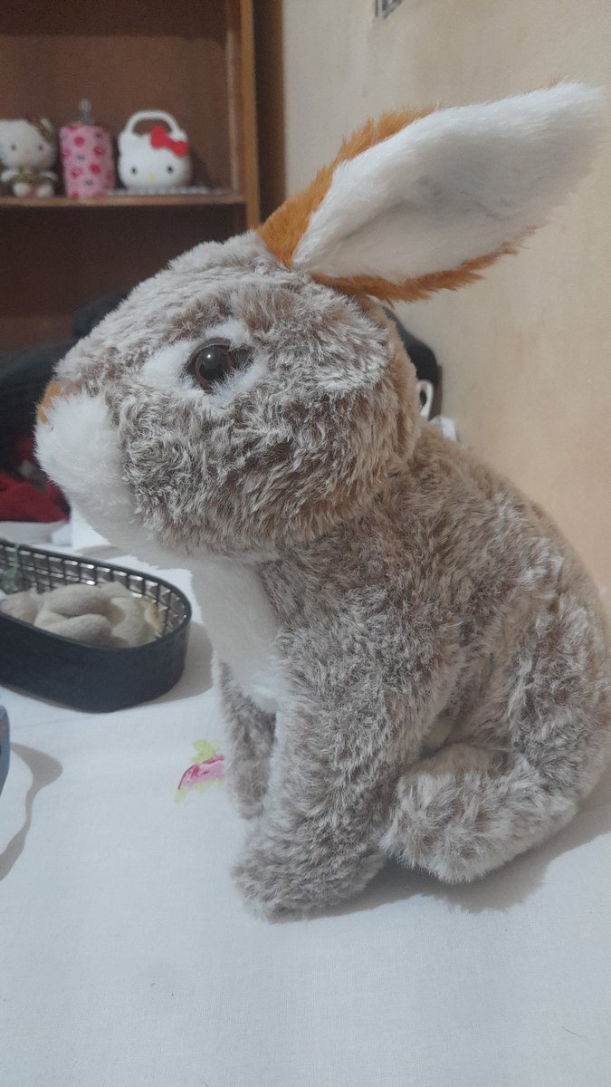 mar_sousab's tweet photo. meu novo filho https://t.co/HCk4f6p62l