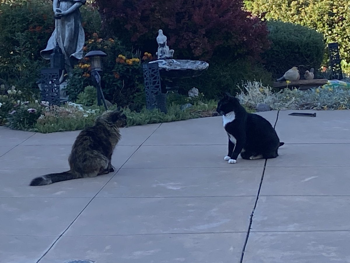 Confrontation