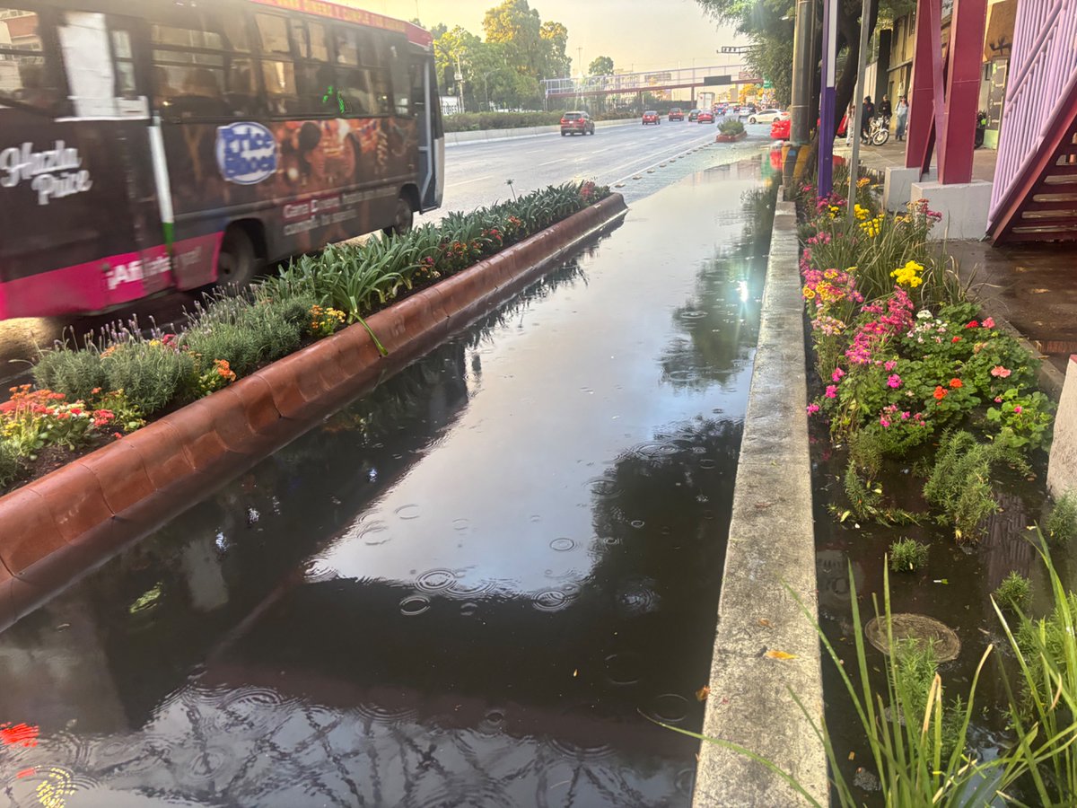 CAVOvalecillo's tweet photo. Se dijo una y mil veces que la ciclovía se iba a inundar y que una de las mejores formas de paliar esa situación era a hacer jardines infiltrantes. 

Sin embargo, solo se raspó el concreto y se pusieron capas de tierra superficial. Todo por hacerlo al aventon. https://t.co/N1VMWtDSvz