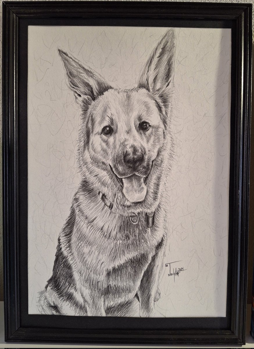 TochtliMartinez's tweet photo. Canino
Dibujo a lápiz, 2024
#tochtlimartínezarte #arte
#dibujo #dibujoalápiz https://t.co/uArAHuFcTu
