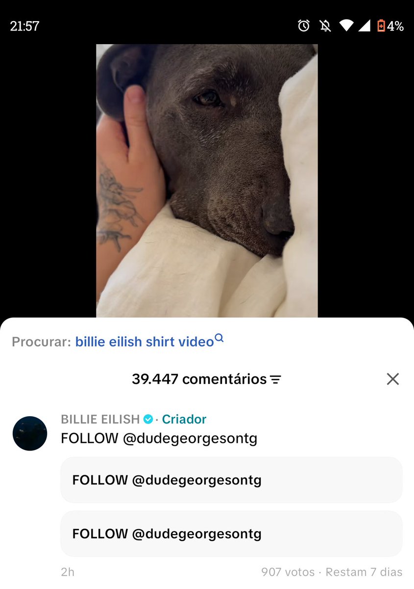 kethhtpss's tweet photo. Gente alguém sabe quem é esse hacker?ele fez essa mesma enquete na conta do tiktok da Billie tbm https://t.co/WLMGCJ9IP3