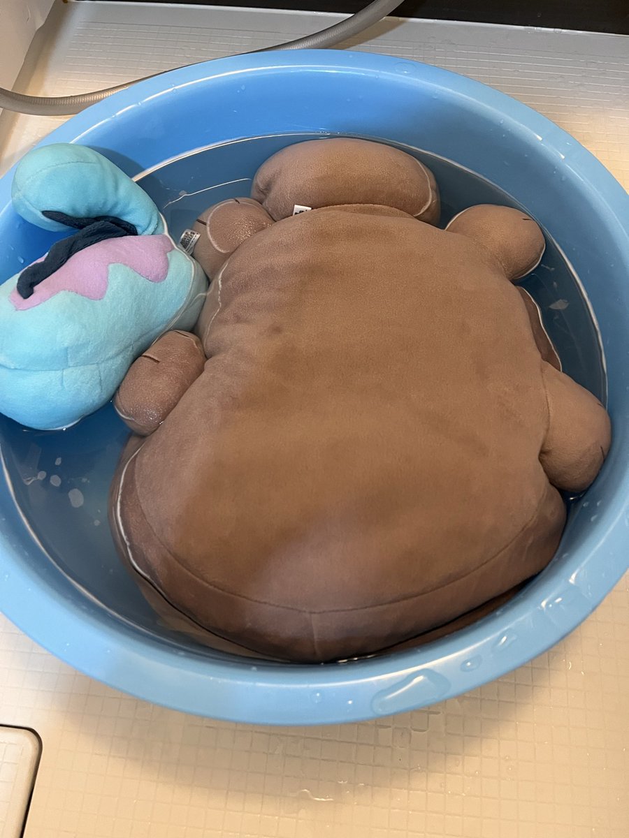 Jun_A_game's tweet photo. お風呂に入れてもらったドねぇ https://t.co/4SVUg29CYh