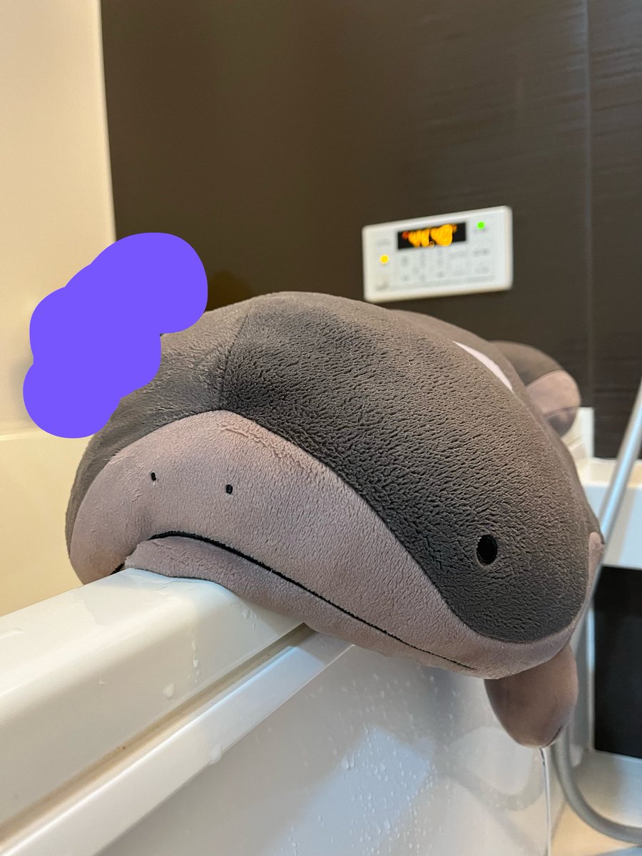 Jun_A_game's tweet photo. お風呂に入れてもらったドねぇ https://t.co/4SVUg29CYh