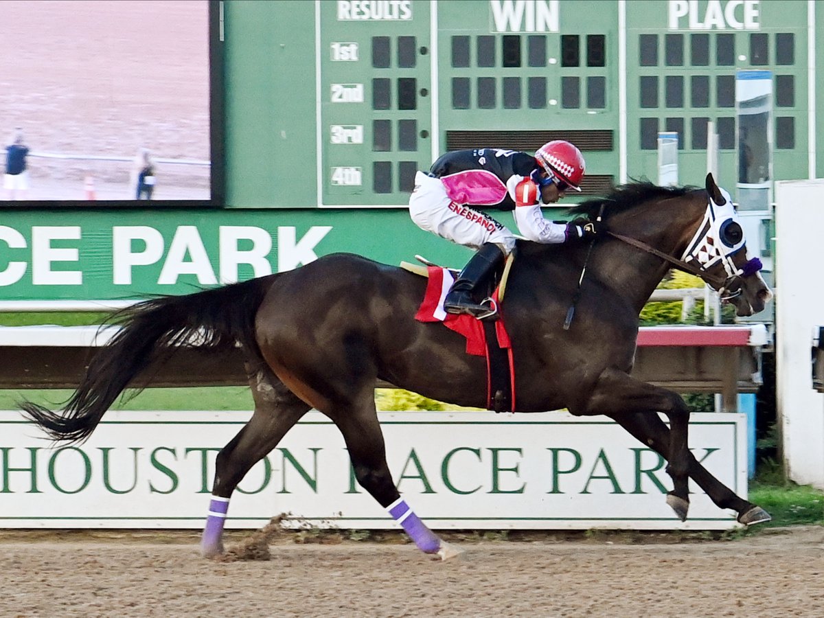Sam Houston Race Park tweet media