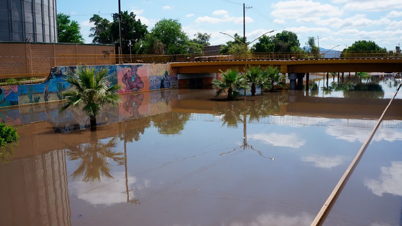 SintesisINFORMA's tweet photo. Sonora figura entre los estados con mayor número de afectaciones por huracanes y tormentas tropicales en la región del Pacífico Norte, al concentrar junto con Baja California Sur y Nayarit el 81 por ciento de los siniestros reportados entre 2018 y 2025... https://t.co/KfP4HDNMgc https://t.co/USd7m8hE2B