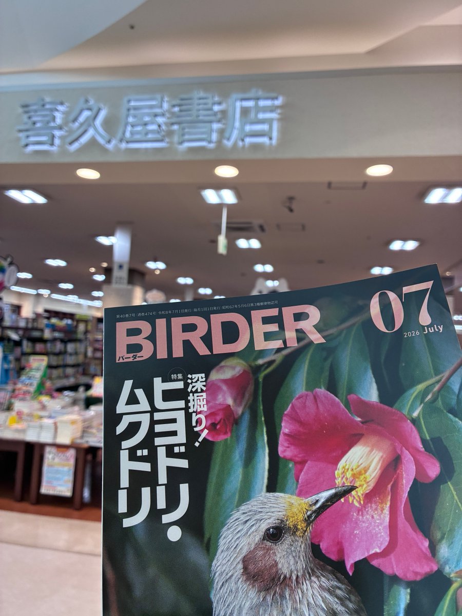 BIRDER 7月号買いました！ #birder