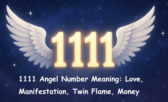 엘쥬니어 tweet media