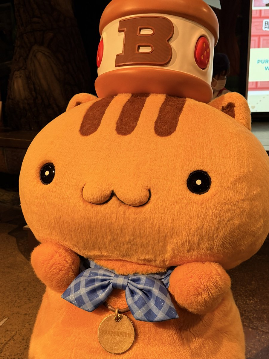 cnm_mpu's tweet photo. ベーグルちゃんかわいでちゅー🥯 https://t.co/nJeBjfG7E5
