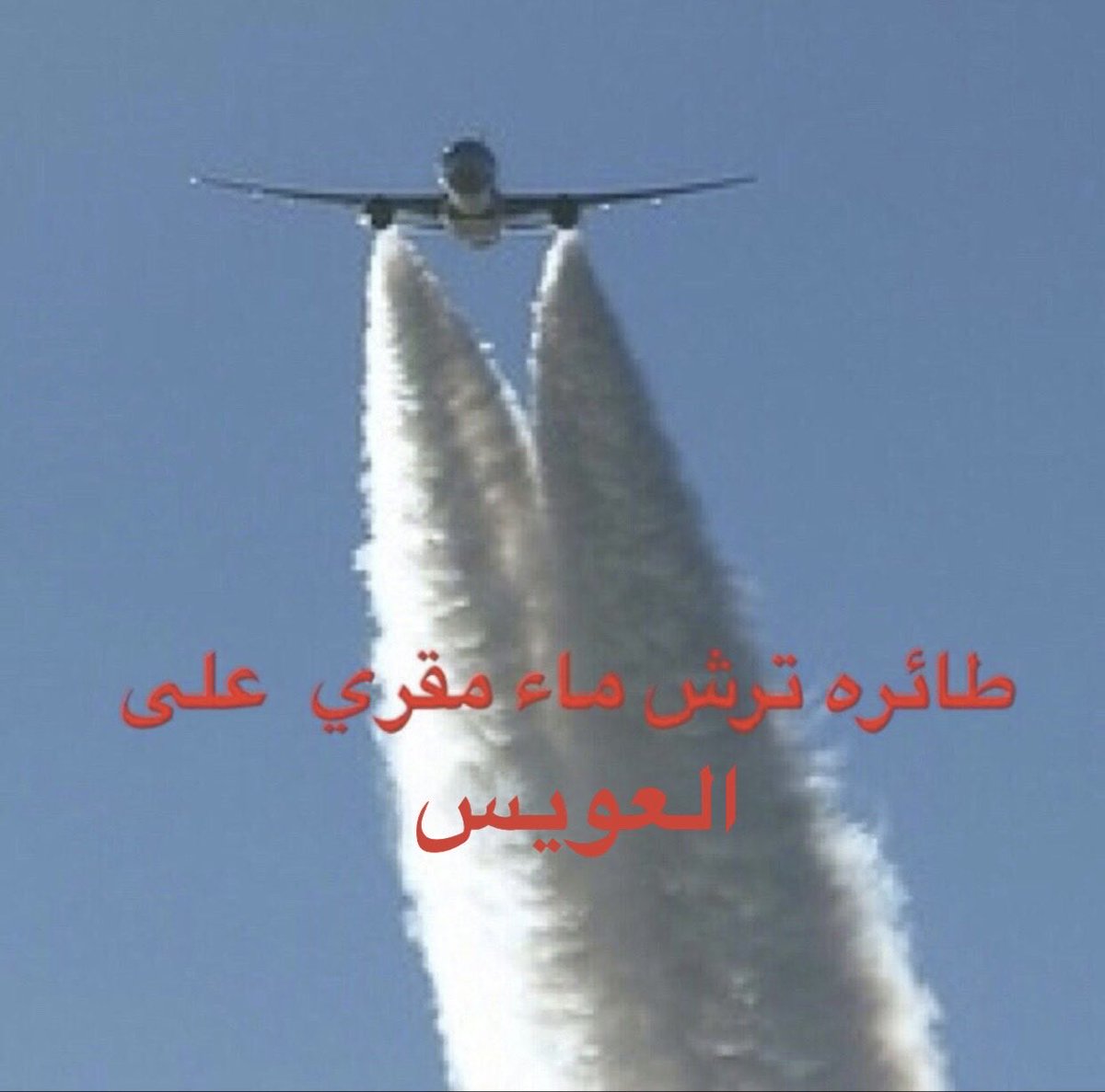 S tweet media