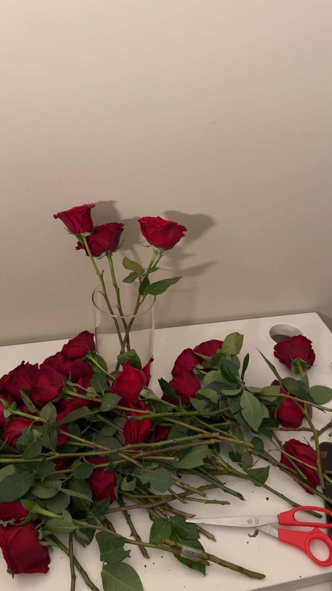 llvai11's tweet photo. 🌷 https://t.co/rOw3kAlc2x
