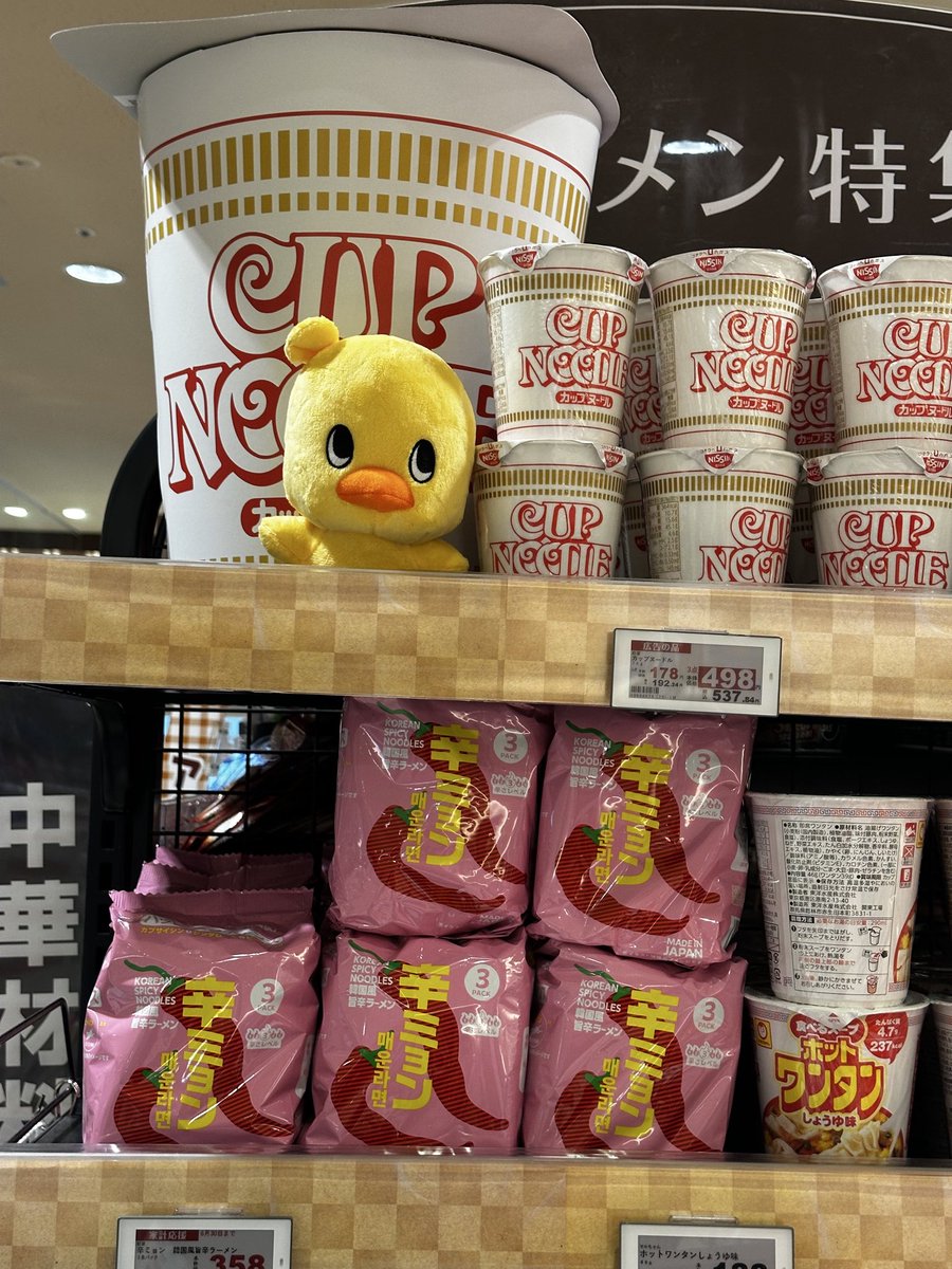 hatarakudoll's tweet photo. スーパーにて　うわの空のひよこちゃん https://t.co/Q0P7ipO8mJ
