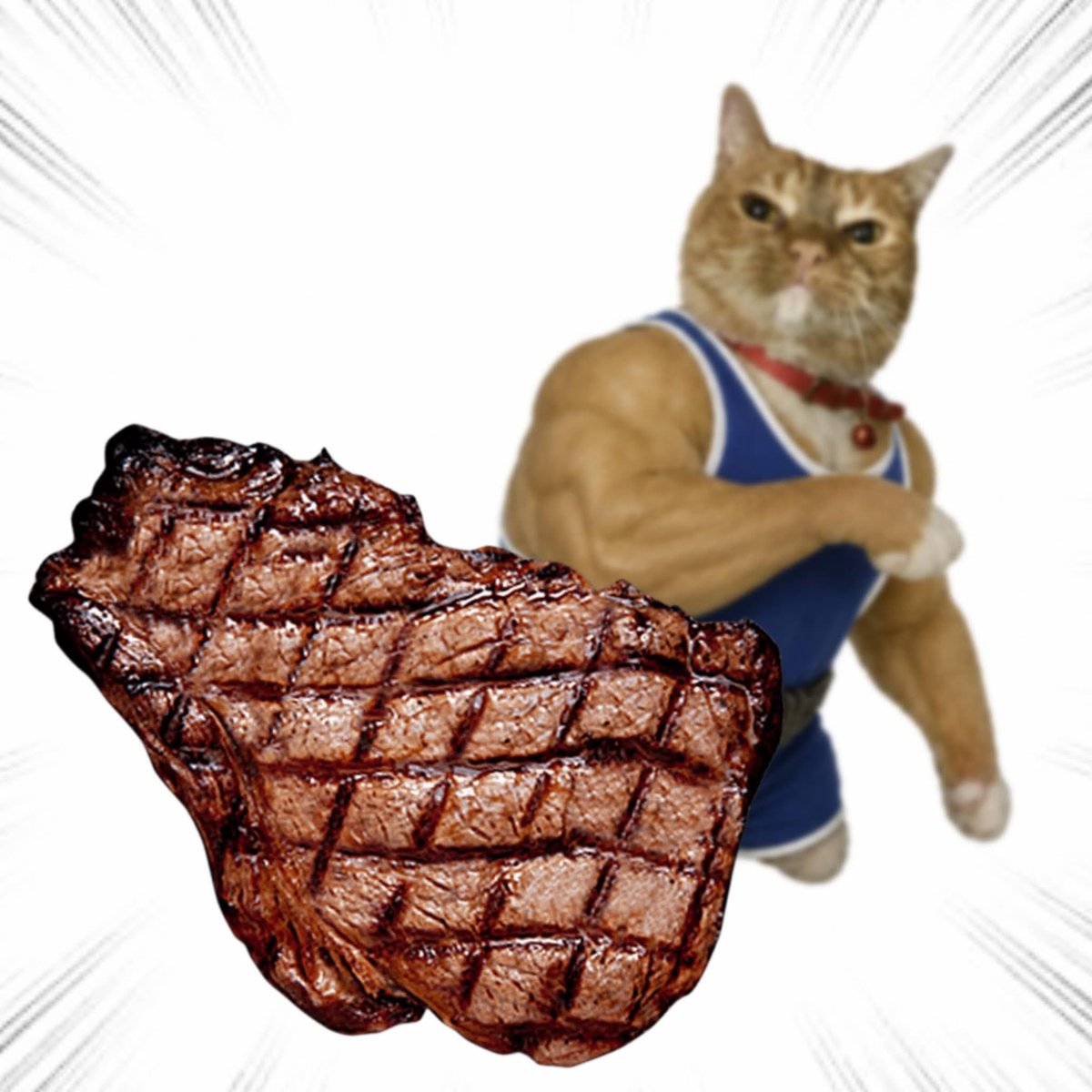 ThrowingObjects's tweet photo. Steak. https://t.co/8hbTE6eMVv