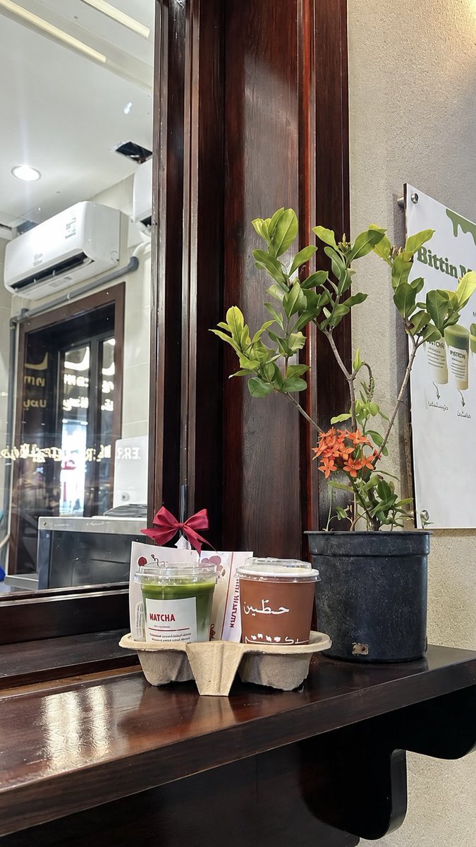 8ilu_'s tweet photo. 💌🌴🌟🍵 https://t.co/Eo7d9j0hj5
