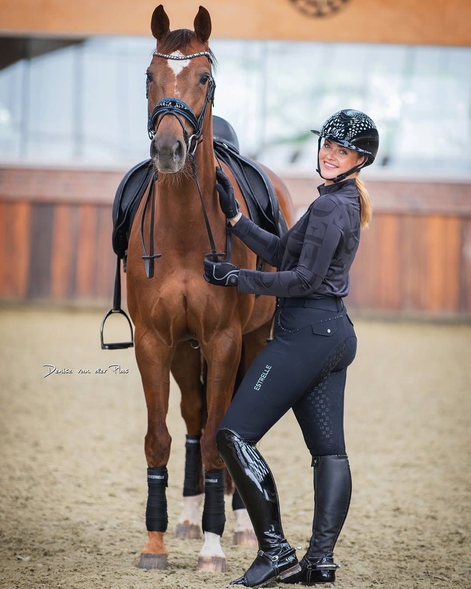 Equestrian Pup🐾 tweet media