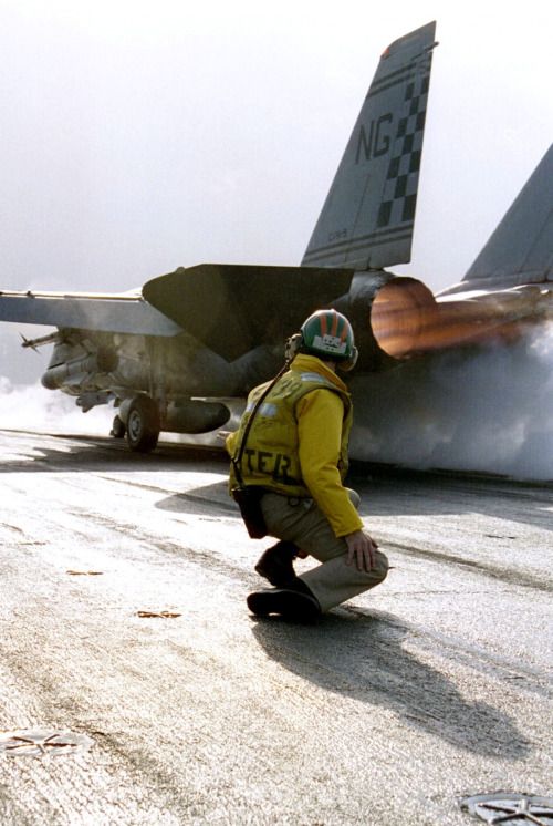 t_leung's tweet photo. 🐱apult 
#TomcatTuesday https://t.co/gSZqpdEiMY