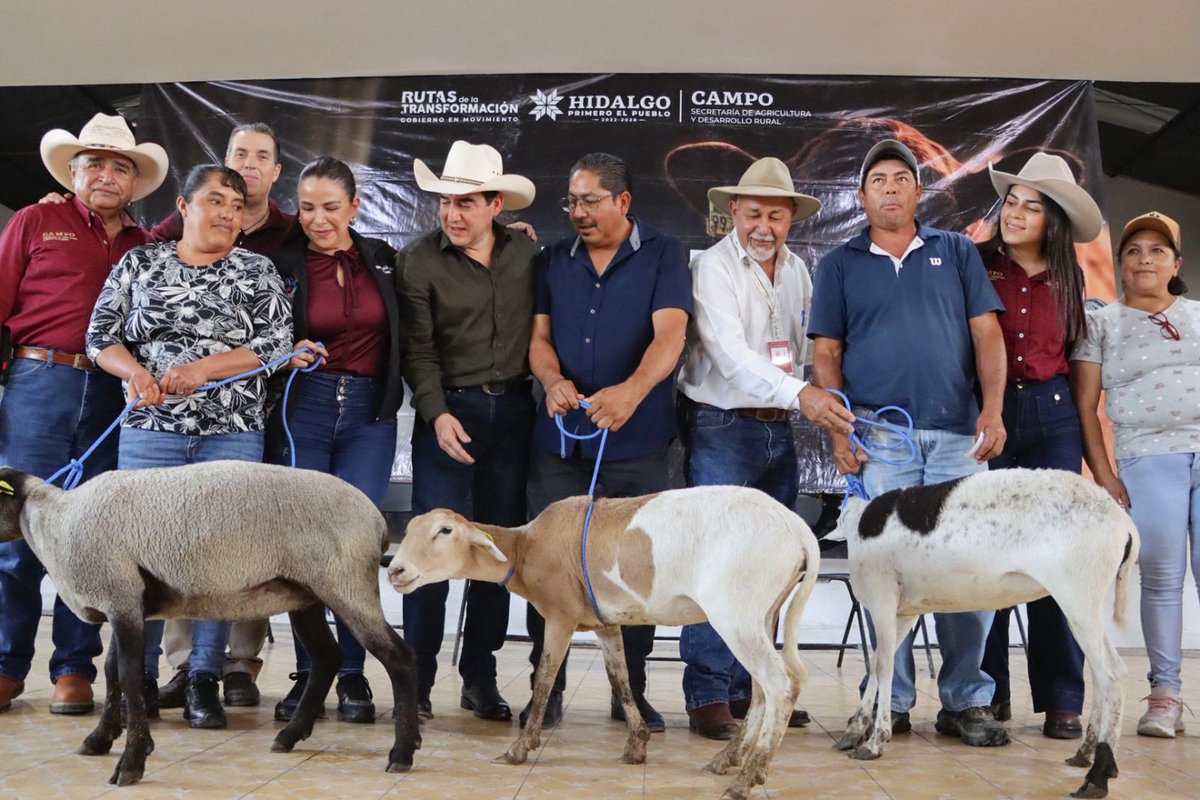 juliomenchaca_'s tweet photo. En Cuautepec, más de 170 productoras y productores de la región recibieron apoyos para fortalecer su actividad productiva.

Entregamos plantas de manzana, limón, lichi y café, además de vientres ovinos y terneras. 🌱🐑

#PrimeroElPueblo https://t.co/Yz5izSdUXb