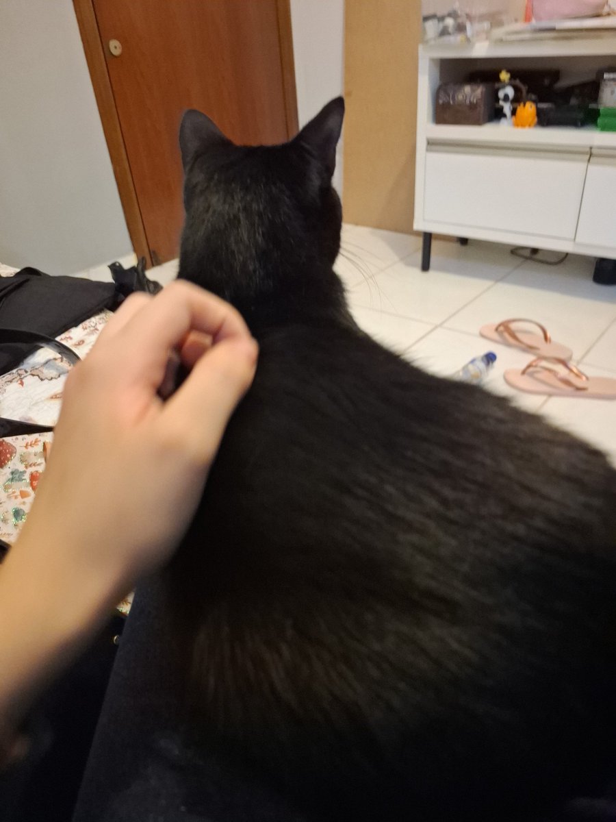countessvultrss's tweet photo. ele é mto fofo vou me matar https://t.co/9lvtgXfysH
