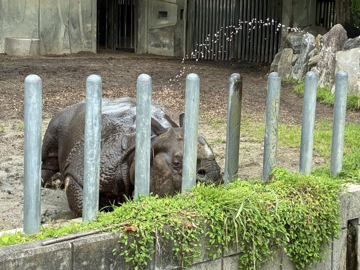 nagara2033556's tweet photo. 本日はここでお仕事 https://t.co/8YAeN9CQ6K