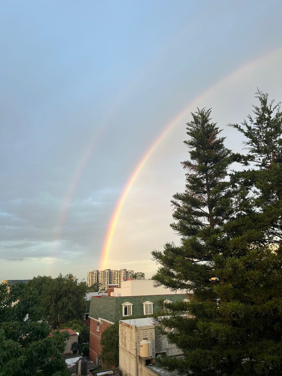 MarsDiAlein's tweet photo. Vale la pena??? ✨🌈💖 https://t.co/59GjtZ7JCd