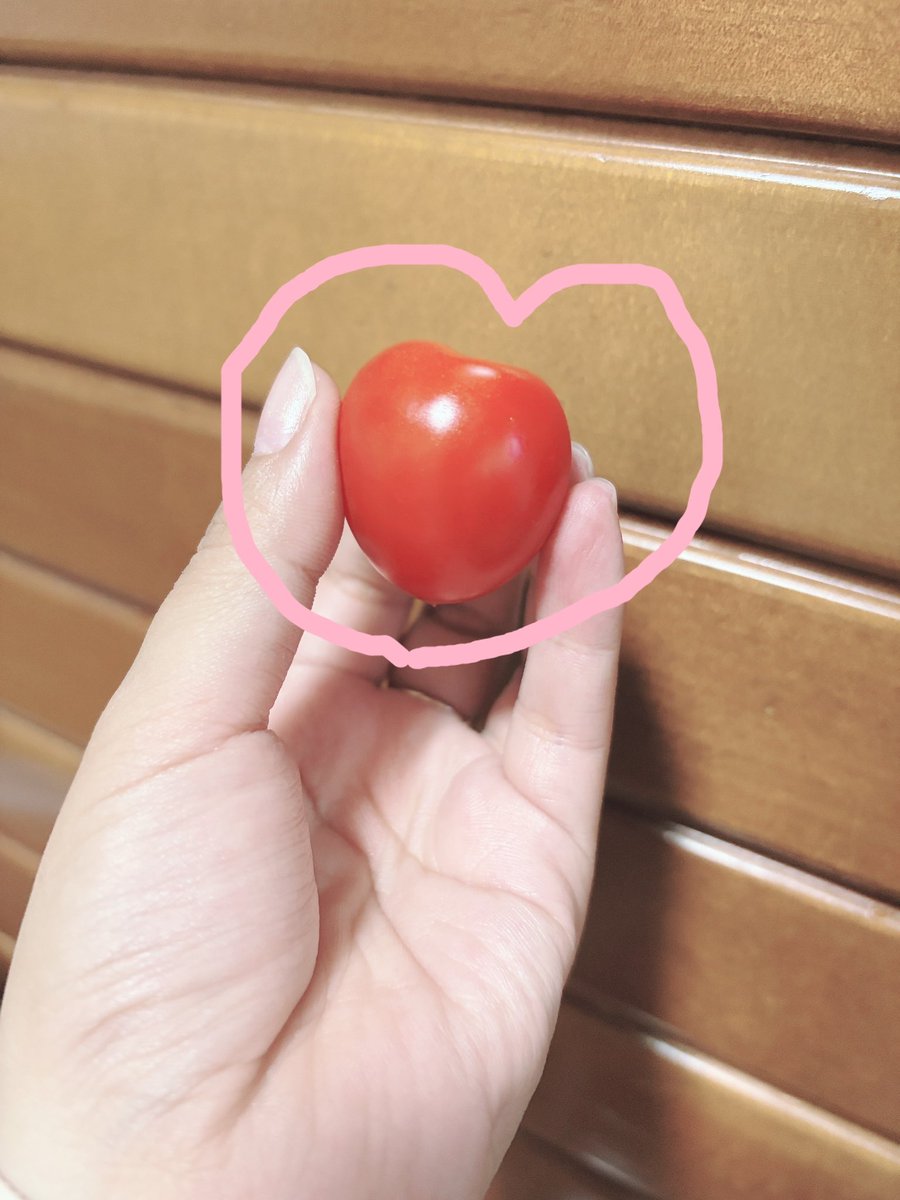 君島怜奈 tweet media