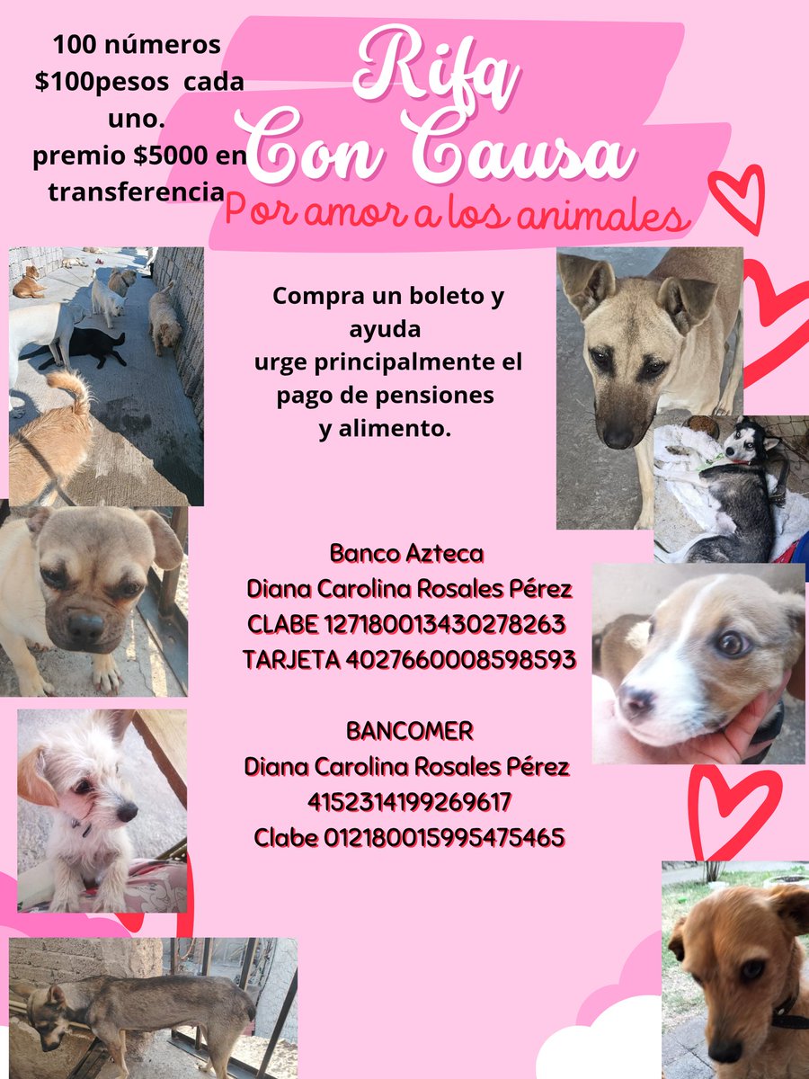 VIBRAmascotas tweet picture