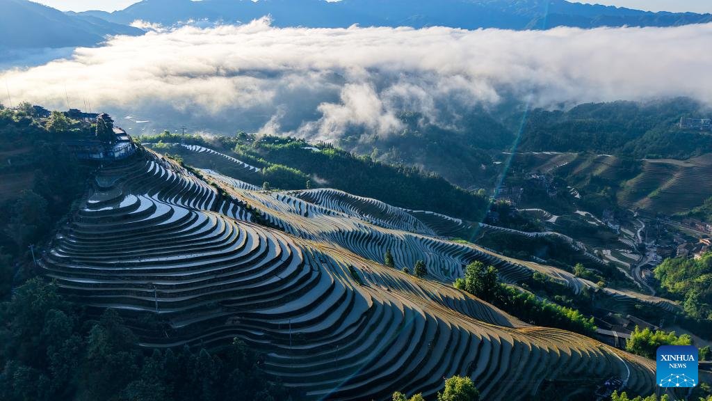 PDChinaLife's tweet photo. Photos show the breathtaking scenery at Longji terraced fields in Longsheng Ge Autonomous County of Guilin City, south China's Guangxi Zhuang Autonomous Region. https://t.co/DW8Vs9v6Yr