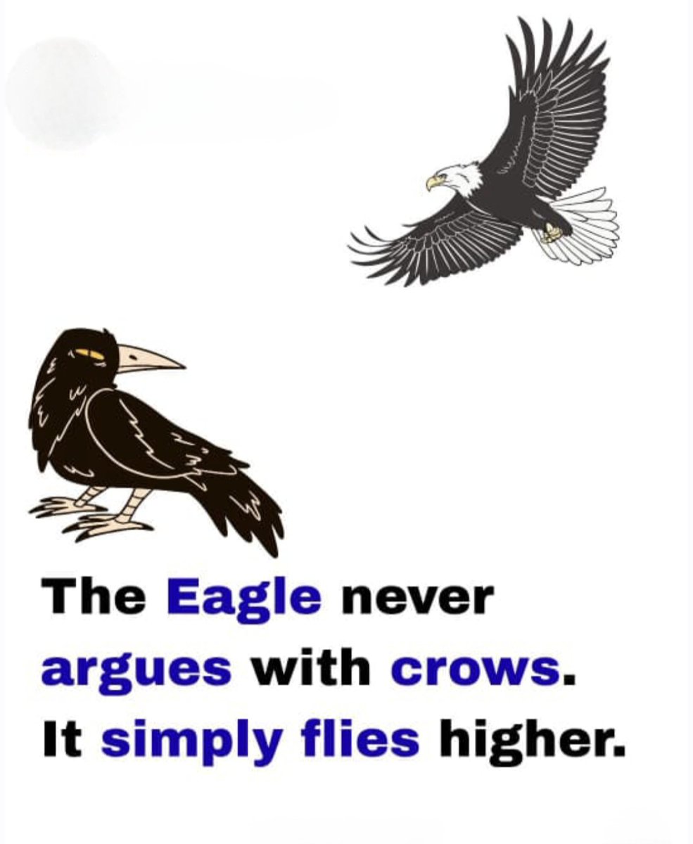 RChadha9's tweet photo. https://t.co/qoLiDClFyY