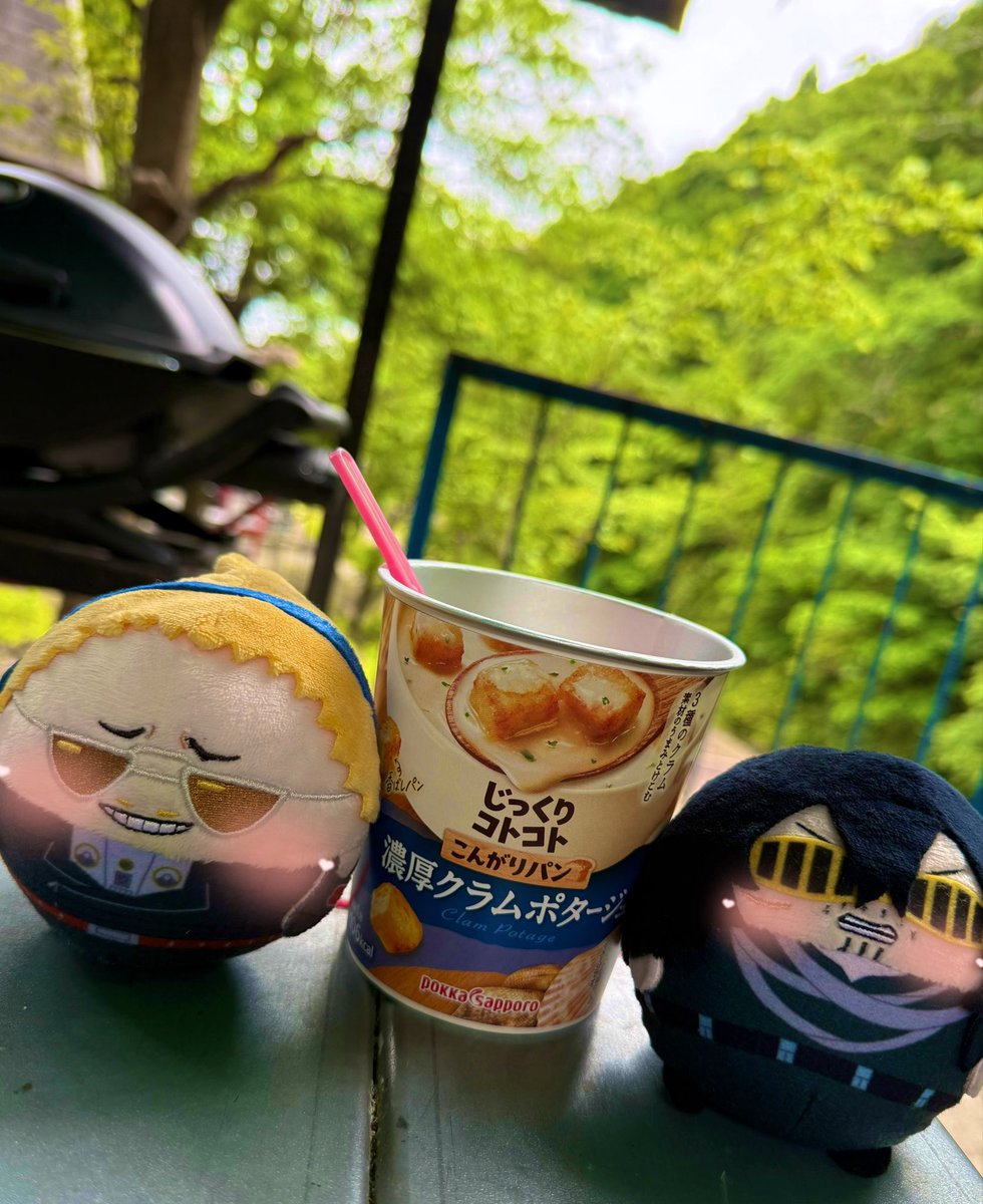 🦔⸒⸒ハリネズミサイホーン🦔⸒⸒ tweet media
