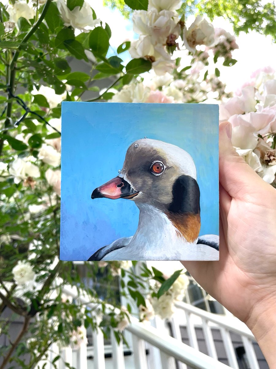 avian_aves's tweet photo. I have updated my Etsy with my new notecard set, a few new illustrations, and the silly Griffinch Pride pins 🔗⤵️ https://t.co/xrLhfBulxH
