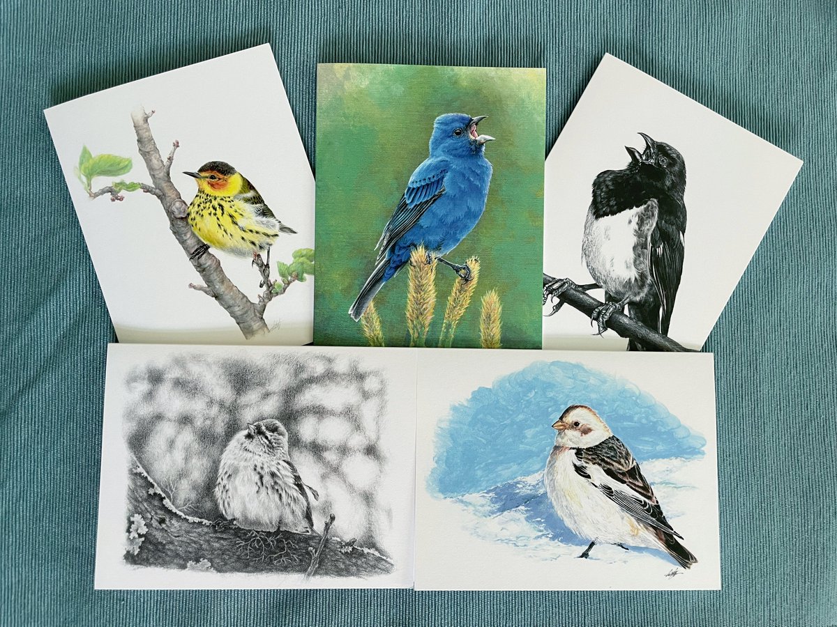 avian_aves's tweet photo. I have updated my Etsy with my new notecard set, a few new illustrations, and the silly Griffinch Pride pins 🔗⤵️ https://t.co/xrLhfBulxH