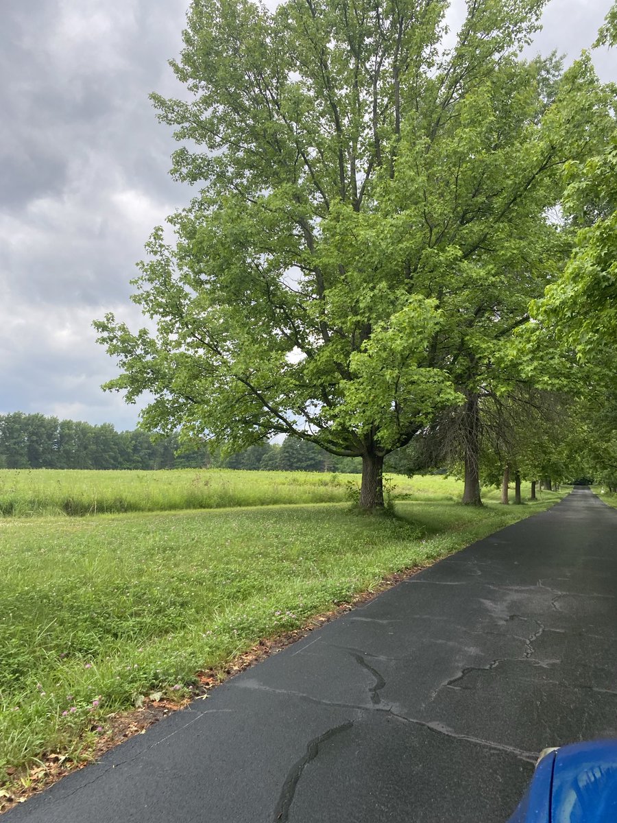 pastormercier's tweet photo. Kickapoo Creek Park in Lincoln, IL sits on land that was originally a major 1700s settlement for the Kickapoo Indian Tribe and the site where pioneer Ann Gilham was held captive in 1790. Today, the 160-acre site is protected by the Logan County Park &amp; Trails Foundation! https://t.co/Ka4PquoCOe