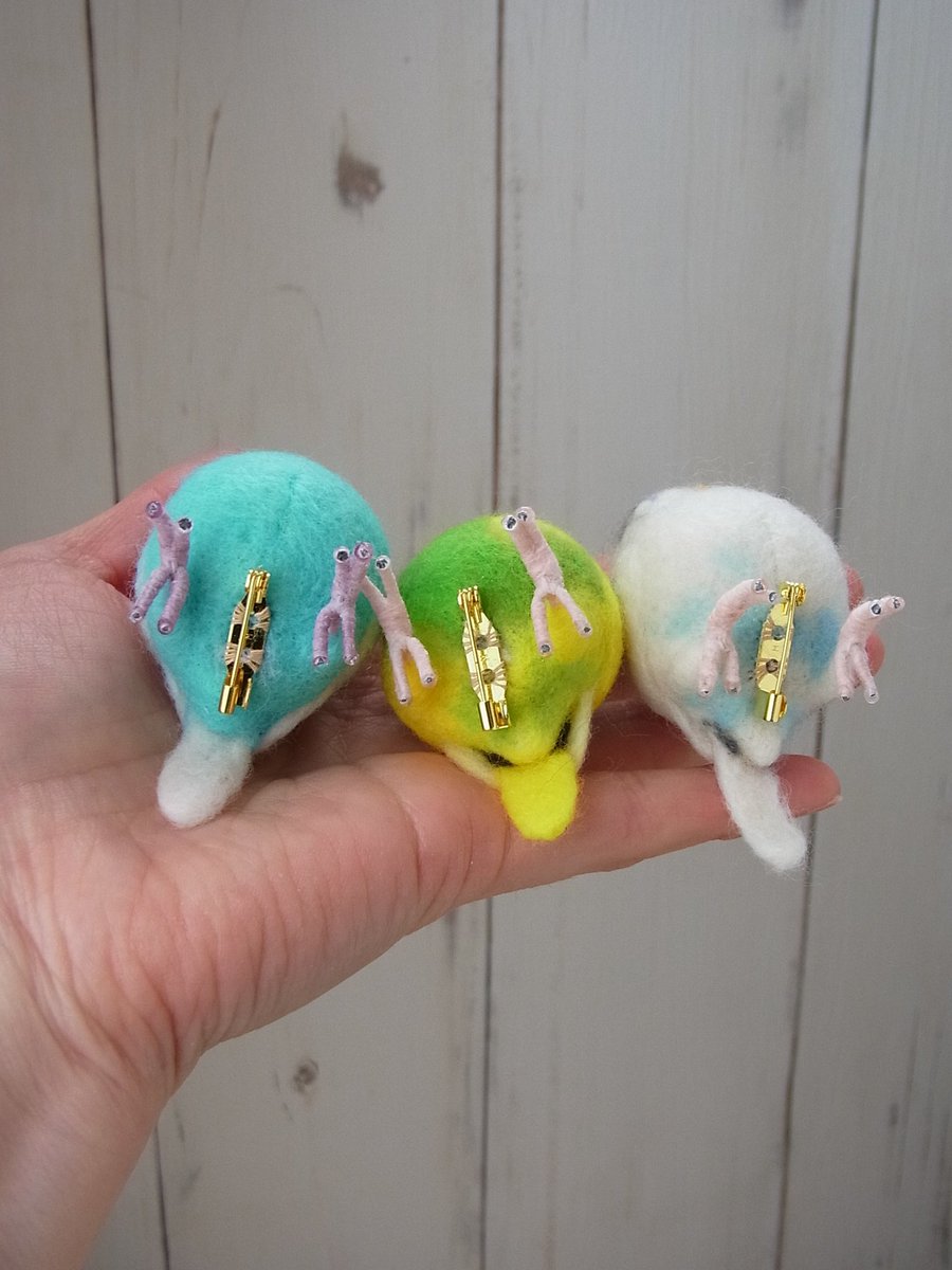 LambsEar06's tweet photo. 肩乗りインコブローチ
3羽も乗せたら楽しすぎるね！
お腹も背中も個性がいっぱい
ご依頼ありがとうございました😊
#セキセイインコがいる暮らし #羊毛フェルト #オーダーメイド https://t.co/8BqJrFqmQe
