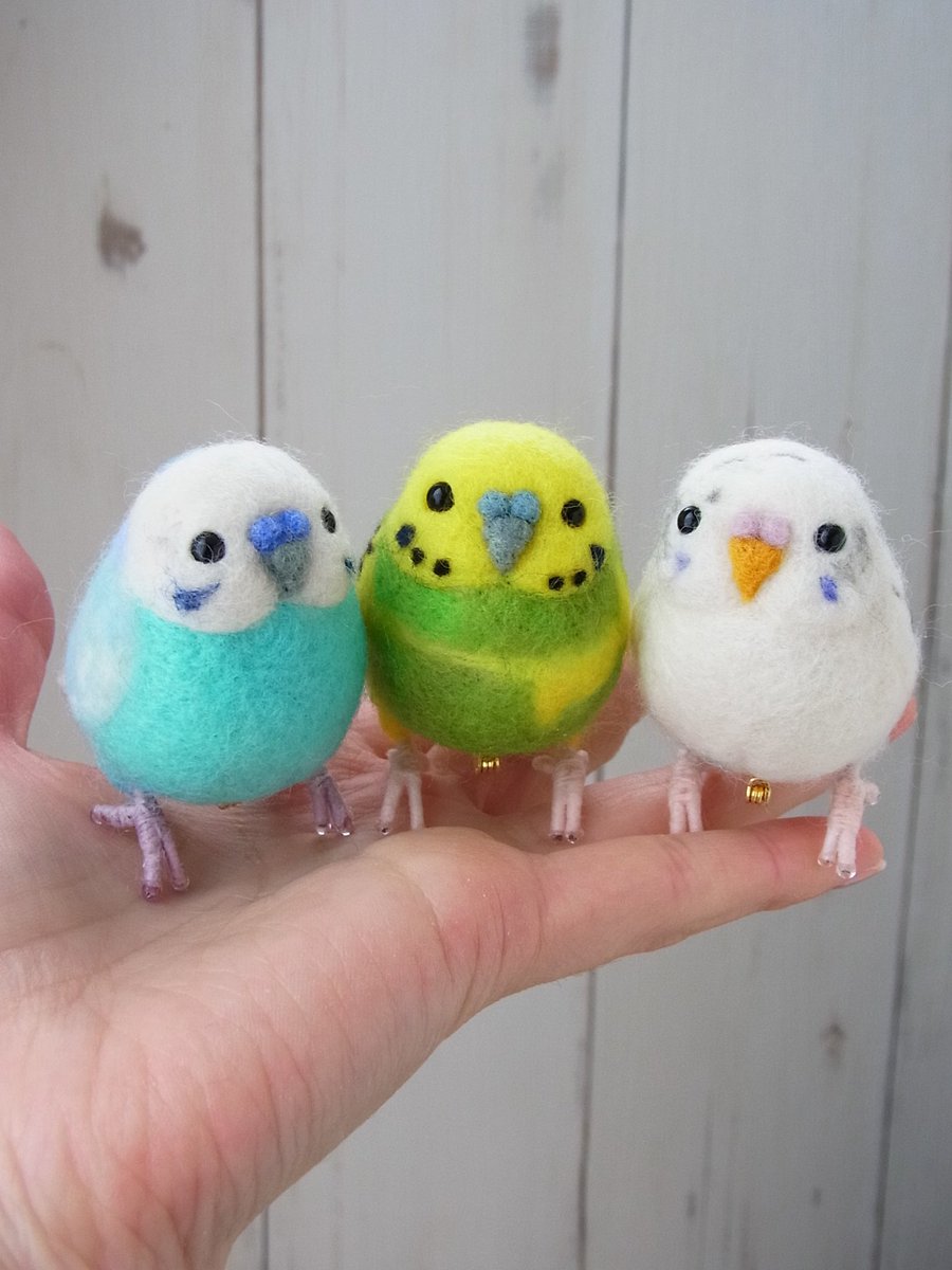 LambsEar06's tweet photo. 肩乗りインコブローチ
3羽も乗せたら楽しすぎるね！
お腹も背中も個性がいっぱい
ご依頼ありがとうございました😊
#セキセイインコがいる暮らし #羊毛フェルト #オーダーメイド https://t.co/8BqJrFqmQe