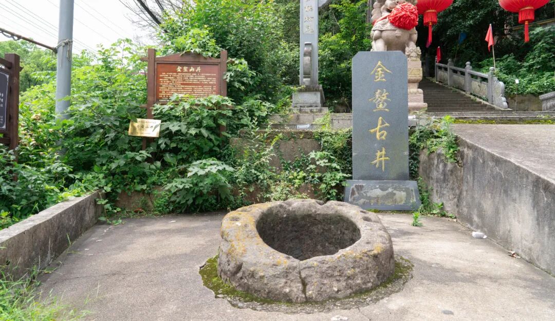 InJiaojiang's tweet photo. As the city grows taller, the old well stays low—guarding its original clarity 💧🌿
#UrbanGrowth #Jiaojiang #PureMemory 🏘️ https://t.co/ip3DvN9sfX