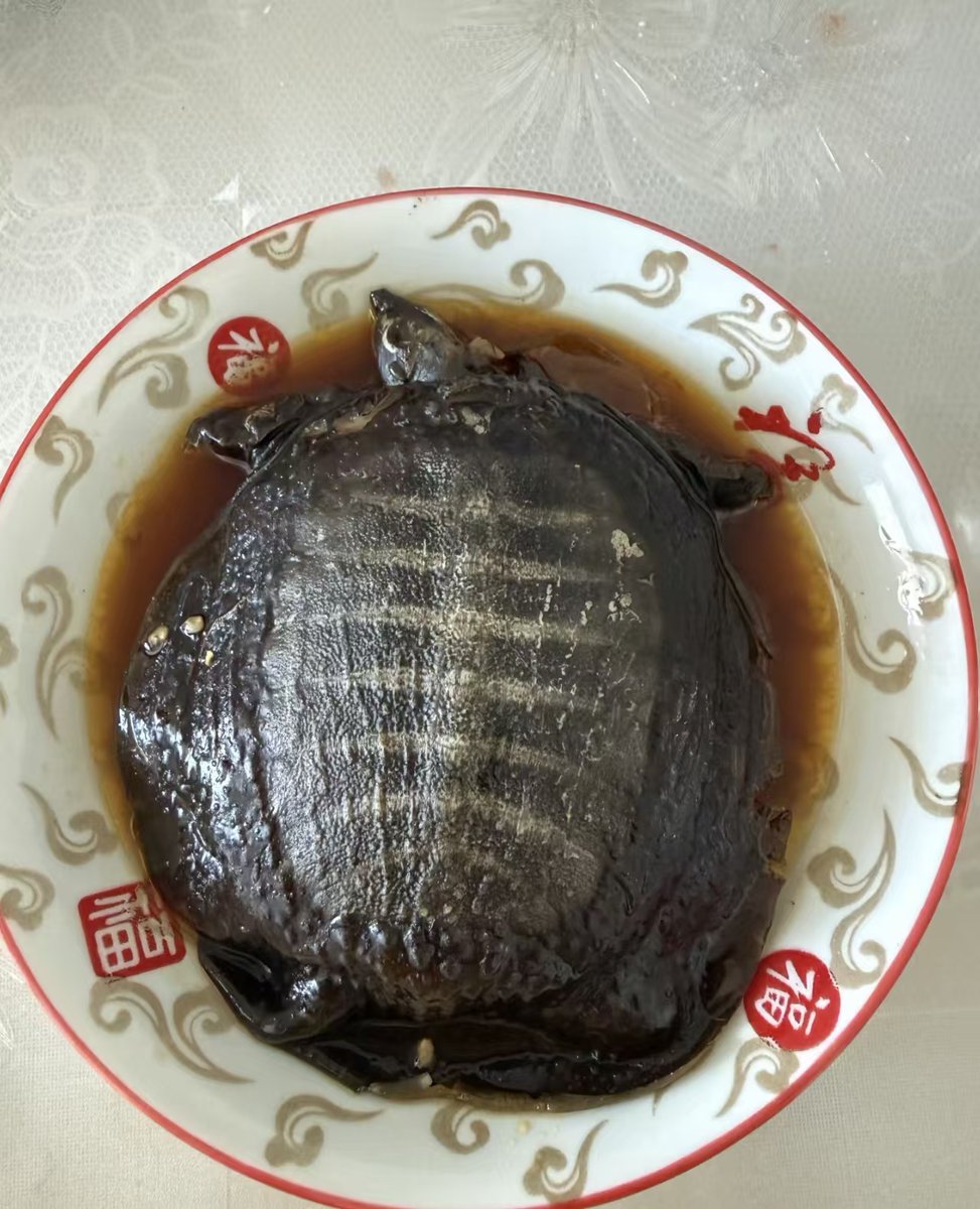 张老师 tweet media