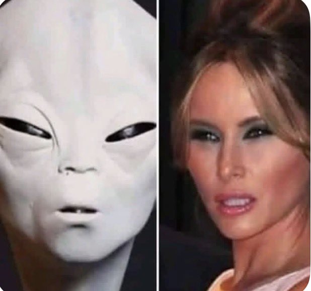 Buzzby48's tweet photo. @vxylily That we have proof there are aliens among us.. in more ways than one. https://t.co/OXAOU1Vwby