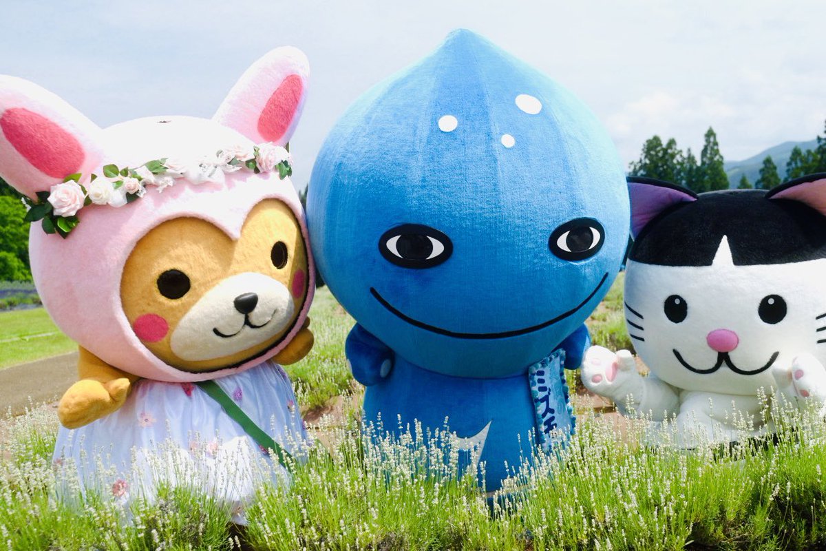 ∇・)花畑を出す魔法ではしゃぐ勇者一行