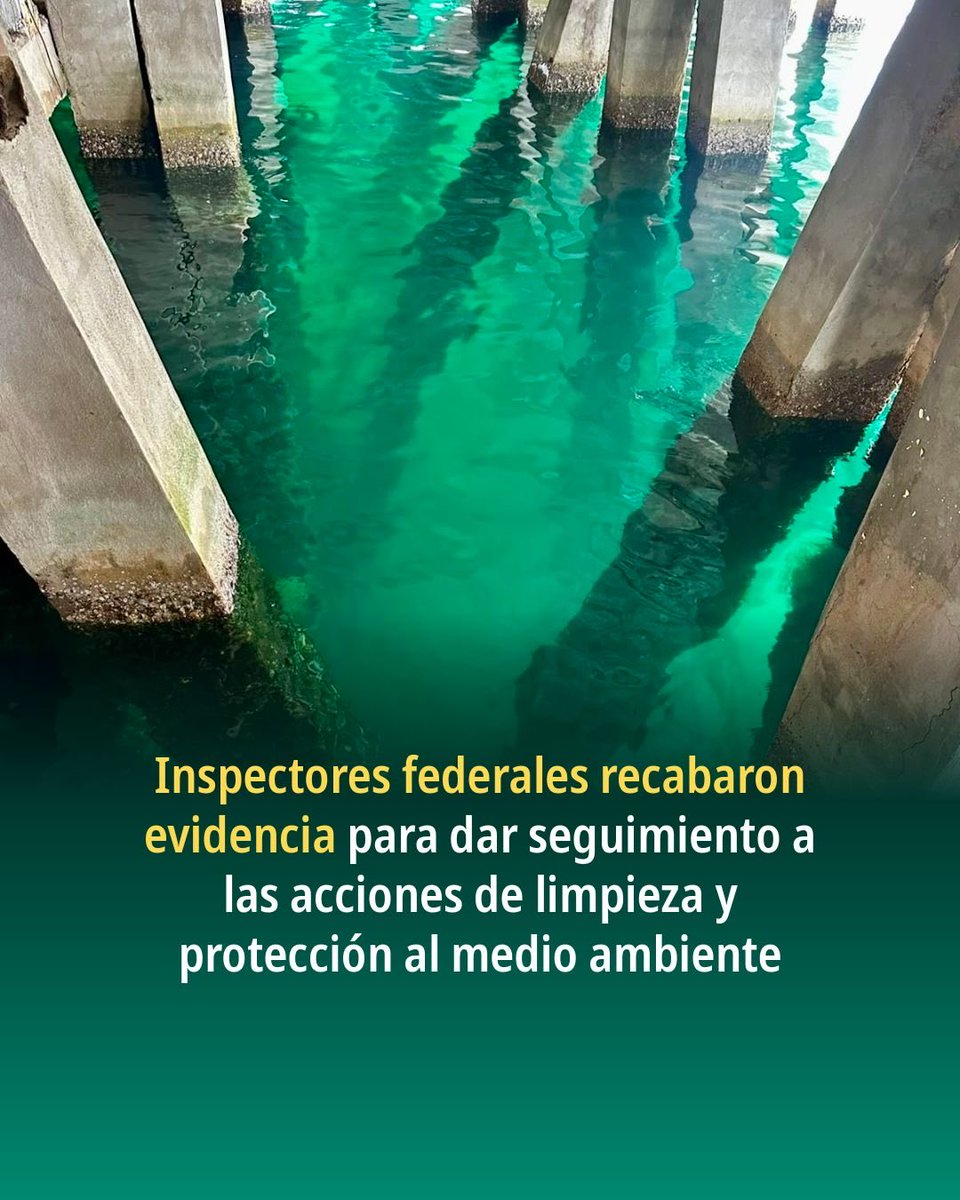 agencia_asea's tweet photo. #Entérate: Inspectoras de la #USIVI recorrieron las instalaciones de la Residencia de Almacenamiento y Servicios Portuarios (RASP), así como el muelle fiscal y el paseo de San Pedrito, en Manzanillo, Colima, para supervisar la atención del derrame de hidrocarburo.

Te contamos más en nuestro #BoletínASEA: https://t.co/8N3oQrJpGb