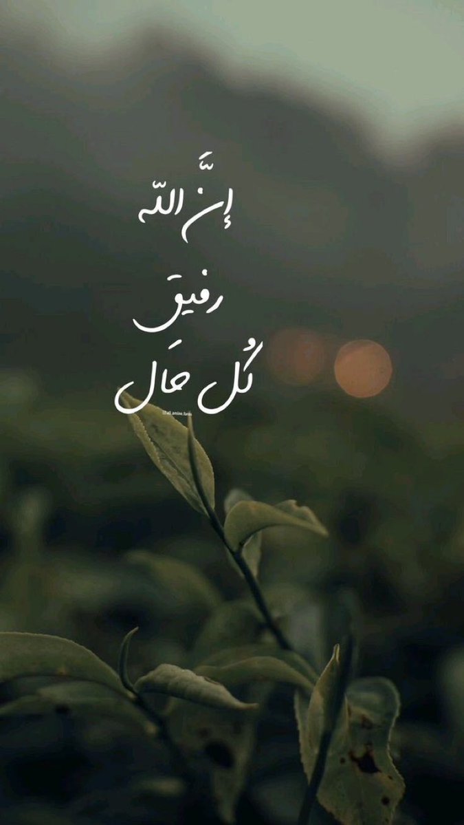 7hkmaa's tweet photo. https://t.co/XjalqXADTy