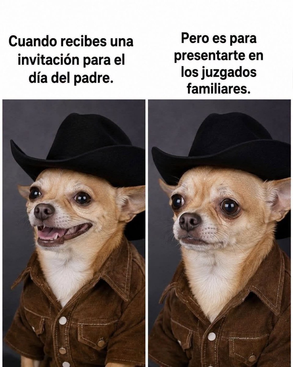 thememegirlsv's tweet photo. Jajajajajajaja https://t.co/sJULjYIT4d