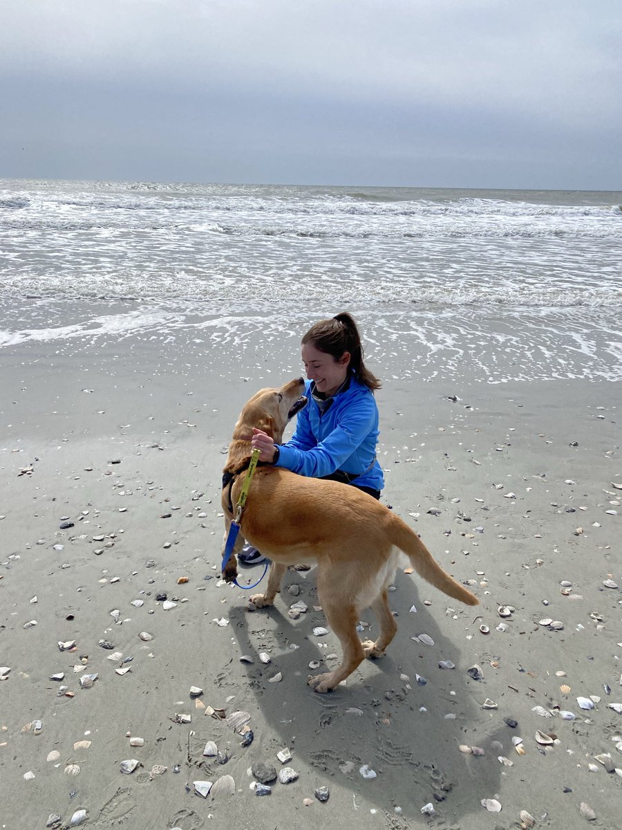 RachelDashCS's tweet photo. I’ve had some rough days, but today was one of the toughest. I had to say goodbye to my best friend of 12 years. 

12 years ago, she fell asleep in my arms when she was just 8 weeks old on the way home from the shelter. And today she fell asleep in my arms on her way to her new home in Heaven. 

Chloe, thanks for the years of snuggles, frolicking in oceans, being my camping & hiking buddy, and smiling on every walk with me. I will see you someday 🫶🏼
