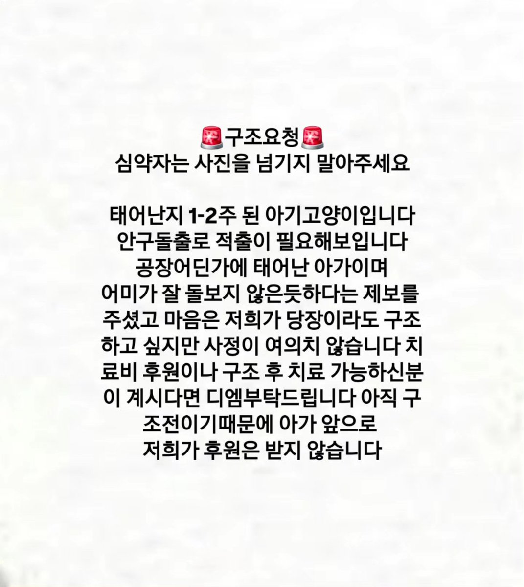 ssavecat_'s tweet photo. 공유해주세요 아직 구조나 치료도움 연락은 없습니다
구조나 치료후원 해주실분들 기다립니다 2주령 입니다 도움 부탁드립니다🙏😢 너무작고 약합니다 안구적출이 필요해보이지만 진료먼저 보아야 알 수 있습니다 https://t.co/lOEuqMAqPx