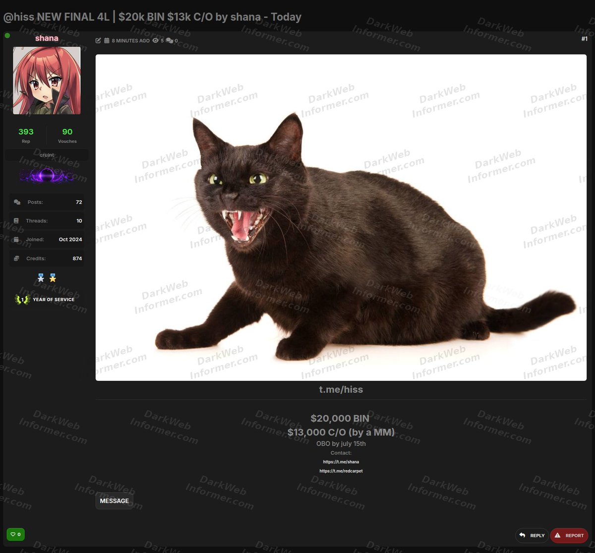 Dark Web Informer tweet media