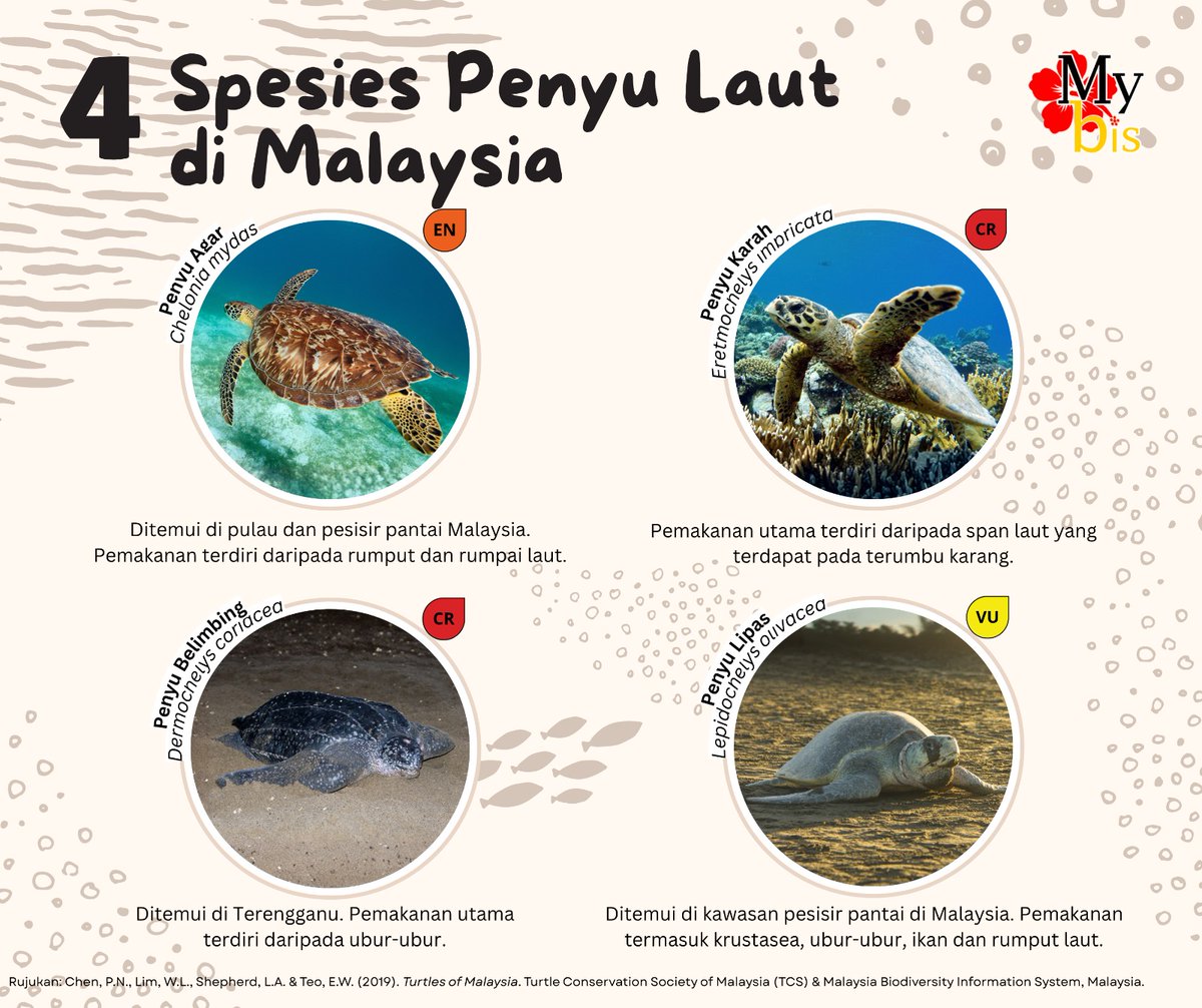 🇲🇾 Malaysia Biodiversity tweet media