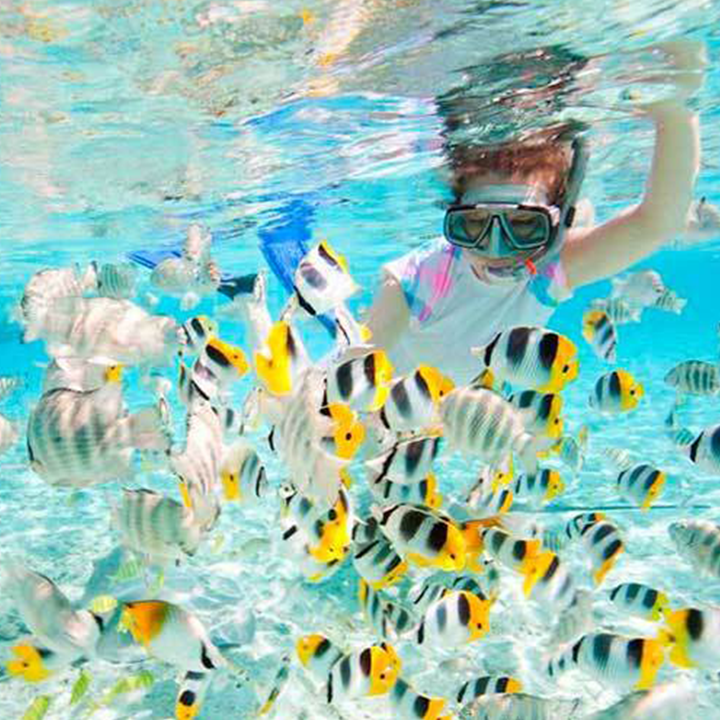 Cubatravel_es's tweet photo. ✨Si te encanta el mar, el buceo en Cuba te va a enamorar. Aguas claras, peces de colores y un ambiente tranquilo para disfrutar cada inmersión. 😎📲 https://t.co/qKryE3A9LV

#CubaMágica #CubaUnica #CubaTravel https://t.co/IE37m5qg8s