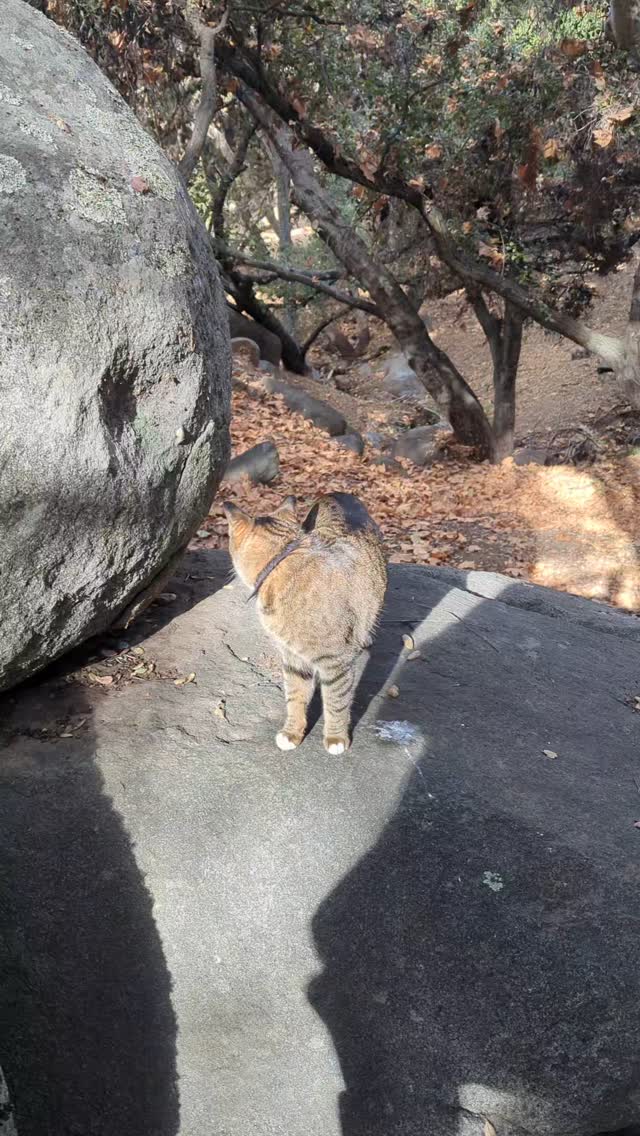 junior19911's tweet photo. My backyard https://t.co/pczPDo44fp